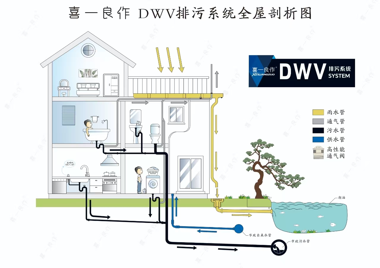 喜一良作 DWV 排污系统全屋剖析图